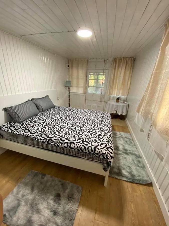 Casa Parvu Ξενοδοχείο Lunca Mare Εξωτερικό φωτογραφία