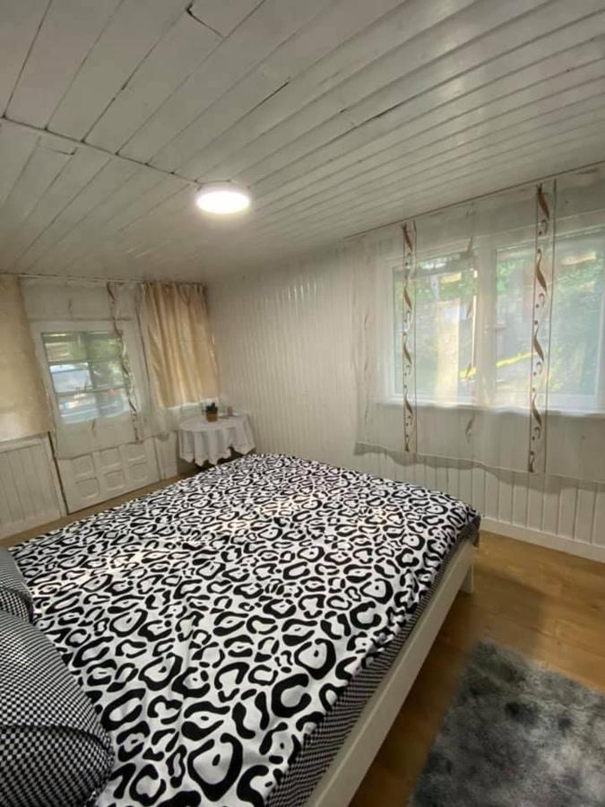 Casa Parvu Ξενοδοχείο Lunca Mare Εξωτερικό φωτογραφία