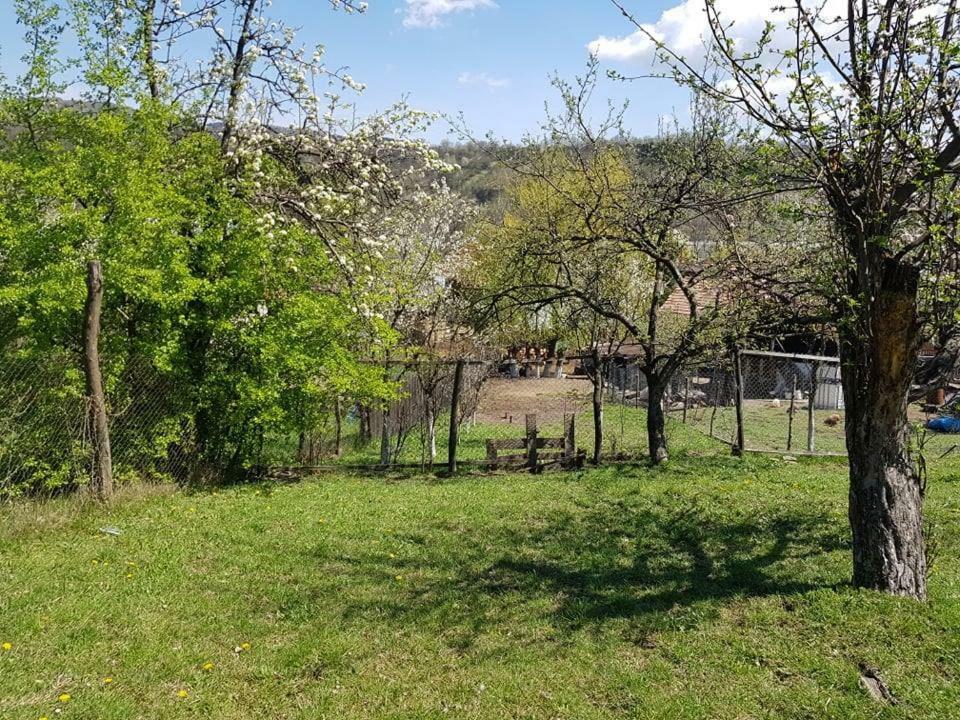 Casa Parvu Ξενοδοχείο Lunca Mare Εξωτερικό φωτογραφία