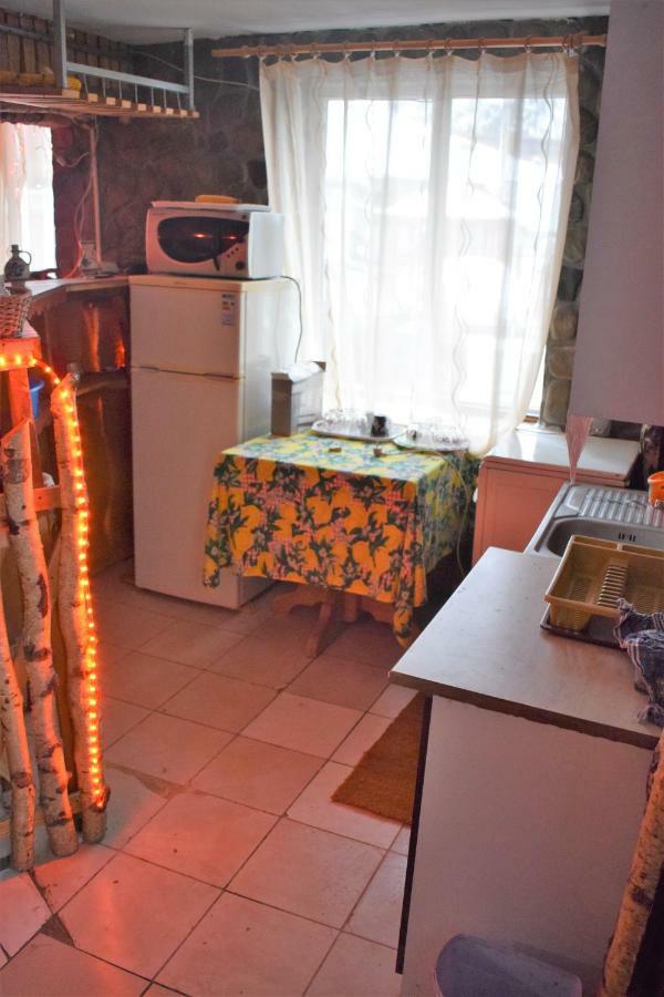 Casa Parvu Ξενοδοχείο Lunca Mare Εξωτερικό φωτογραφία