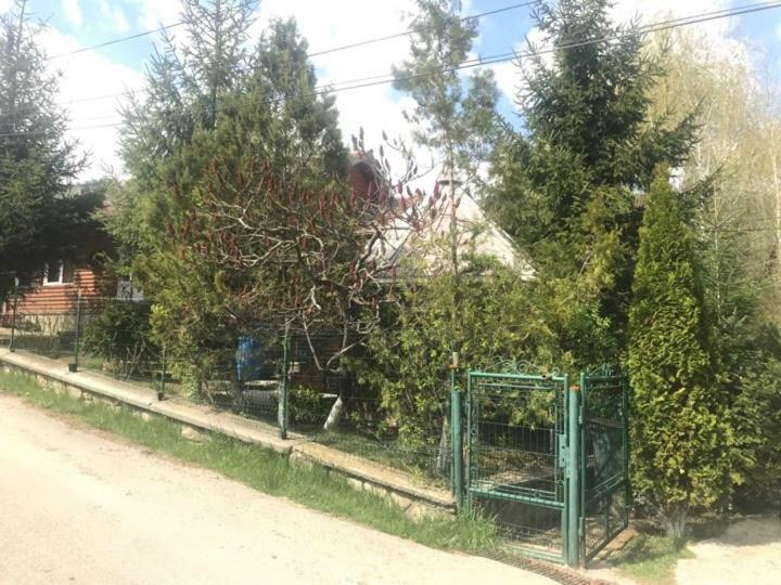 Casa Parvu Ξενοδοχείο Lunca Mare Εξωτερικό φωτογραφία