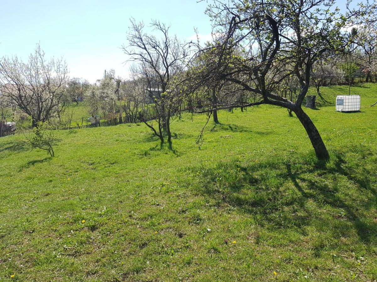 Casa Parvu Ξενοδοχείο Lunca Mare Εξωτερικό φωτογραφία